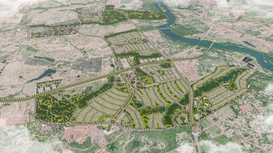 Masterplan Vinhedos Oliveiras